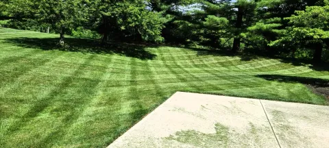 5 Points Landscaping project 46
