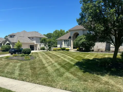 5 Points Landscaping project 19