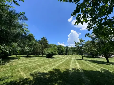5 Points Landscaping project 29