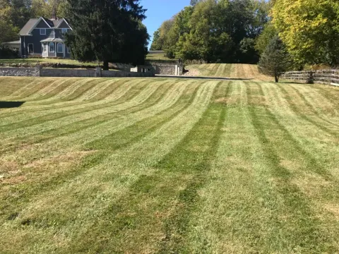 5 Points Landscaping project 6