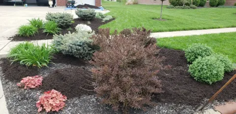 5 Points Landscaping project 22