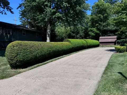 5 Points Landscaping project 41