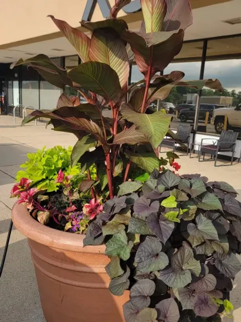 5 Points Landscaping project 34