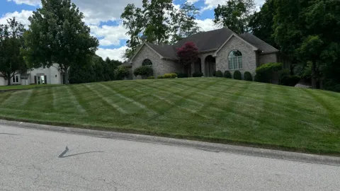5 Points Landscaping project 37