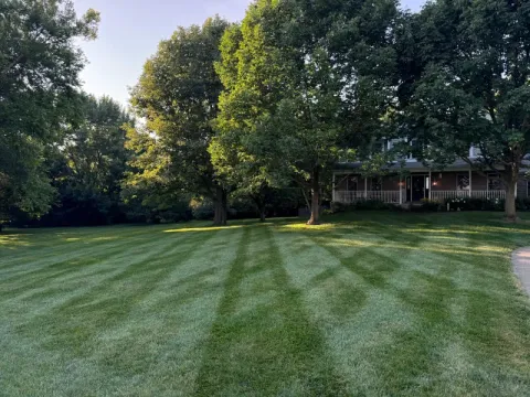5 Points Landscaping project 8
