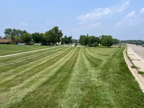 5 Points Landscaping project 25