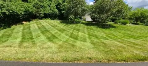 5 Points Landscaping project 27