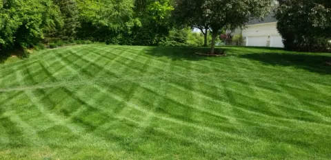 5 Points Landscaping project 3