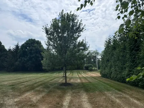 5 Points Landscaping project 28