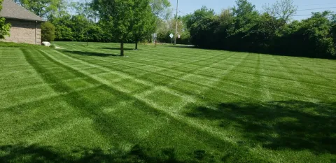 5 Points Landscaping project 16