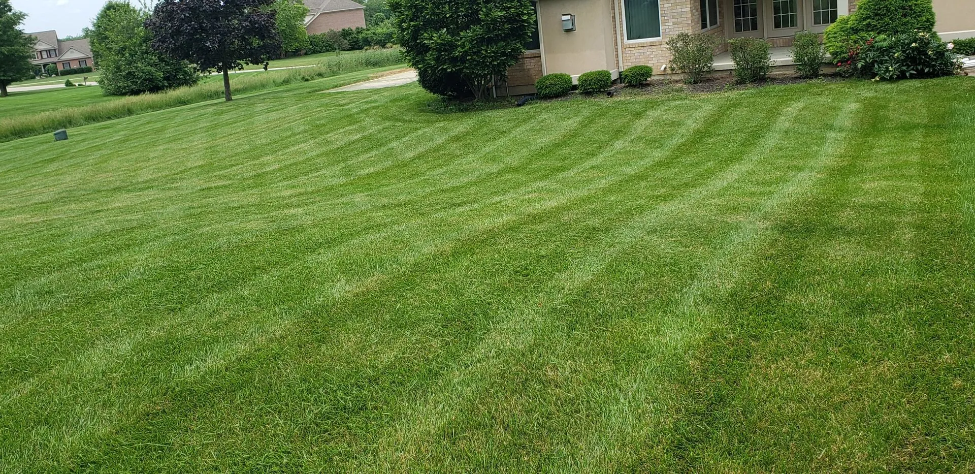 Manicured landscape beds and lawn designed by 5 Points Lawn Service