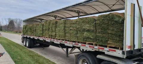 5 Points Landscaping project 45