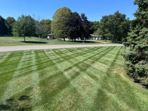5 Points Landscaping project 33