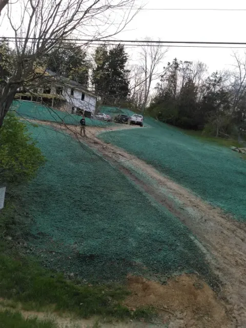 5 Points Landscaping project 21